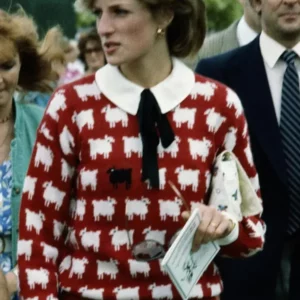 Princess Diana Black & Red Sheep Sweater